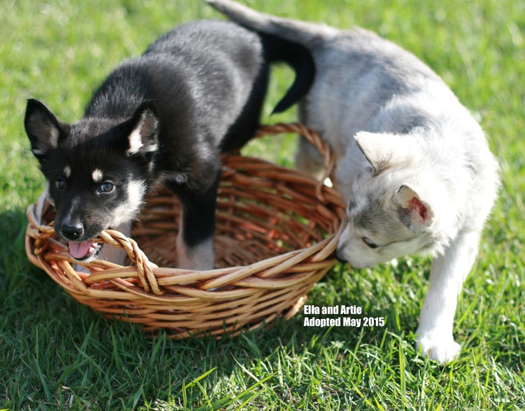 ARA CALENDAR Artie MARCH_v2