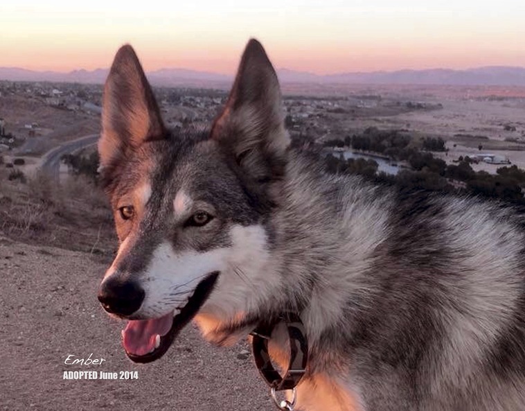 ARA calendar Ember JANUARY