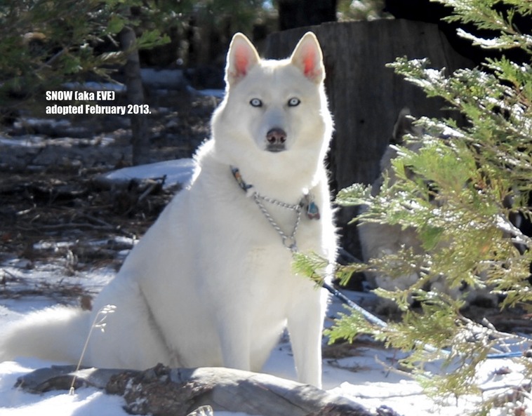 ARA Calendar EVE DECEMBER_v2