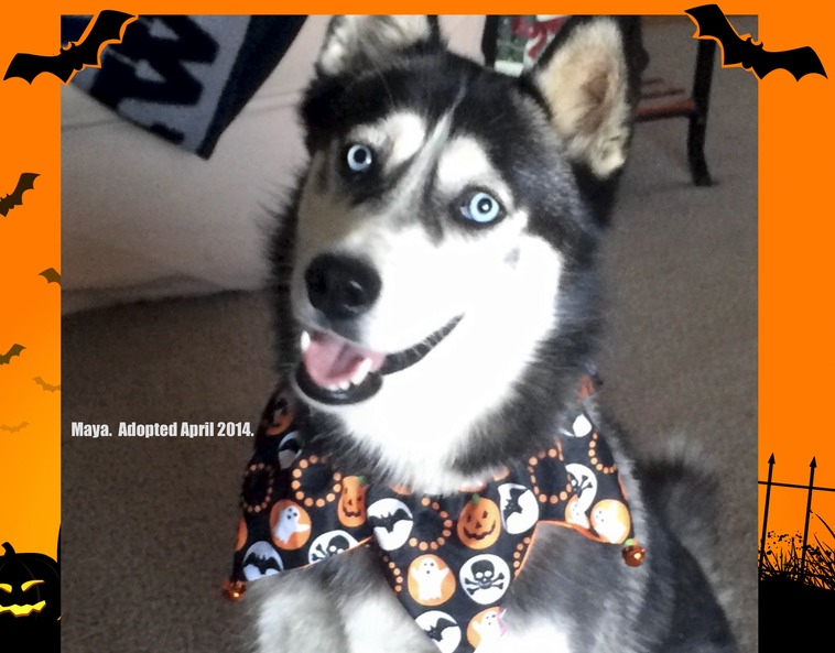 ARA Calendar Maya October_v2