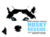ARA Canine Rescue