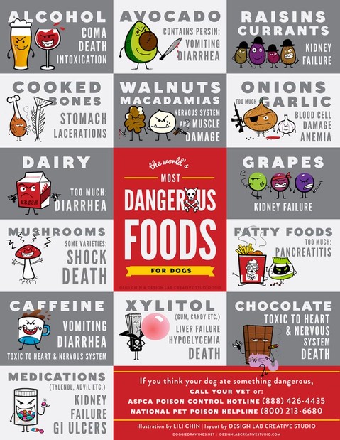 Poisonous food for dogs