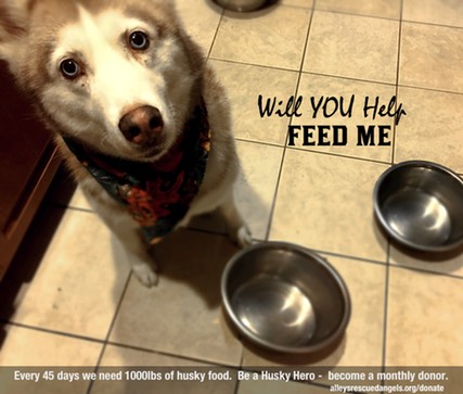 will you help feed me graphic